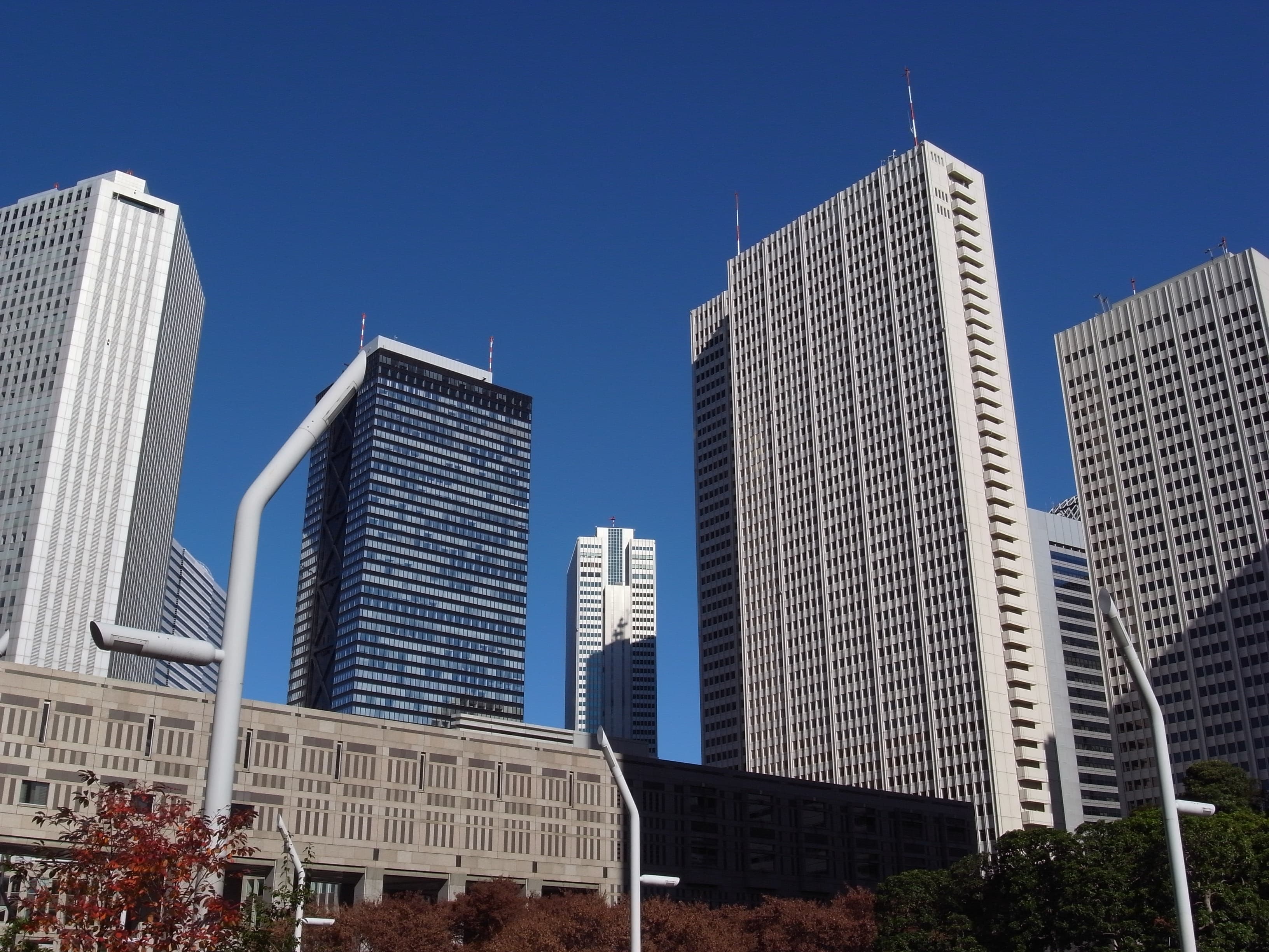 Tokyo (Nishi-Shinjuku) skyline