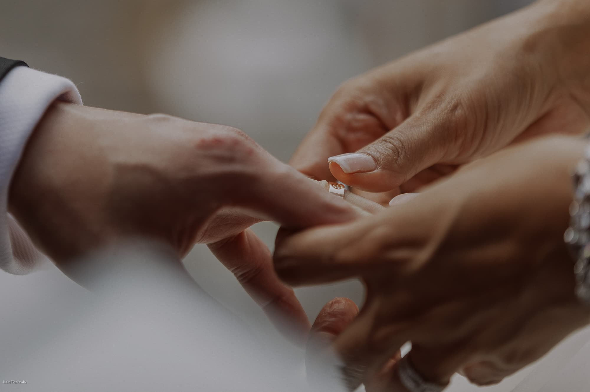 결혼 반지 교환 세리머니 대체 이미지