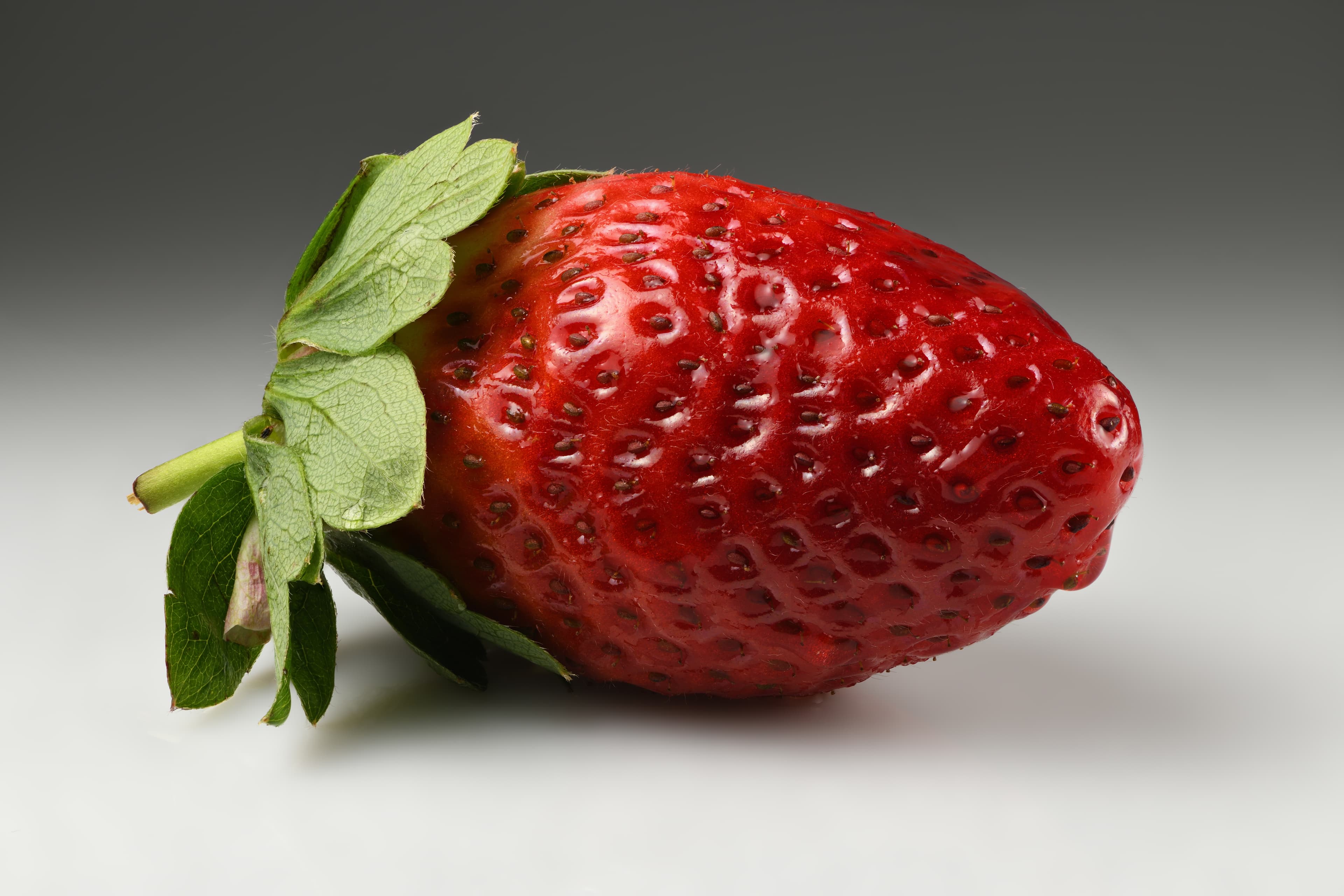 Representative image of Nonsan Strawberry Festival