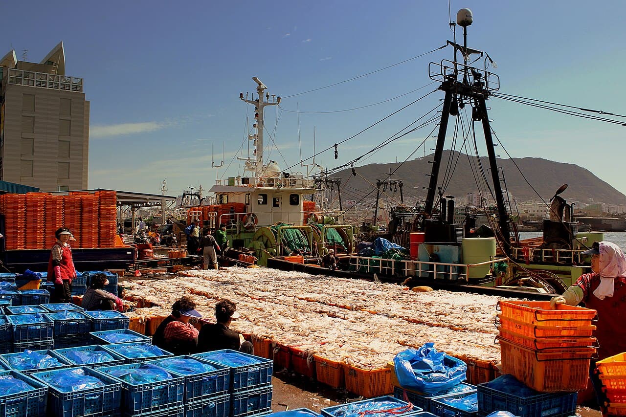 부산항 컨테이너 항구 전경 (2012)